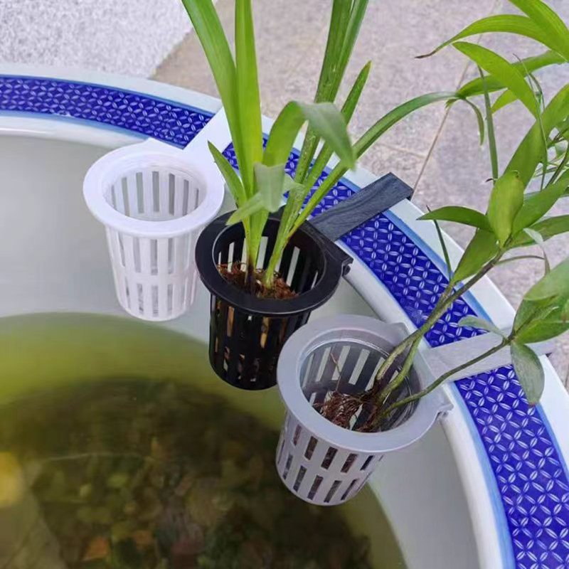 1/3Pcs Aquarium Plantตะกร้าติด - Aquarium Plant Live บทวิจารณ์และราคา