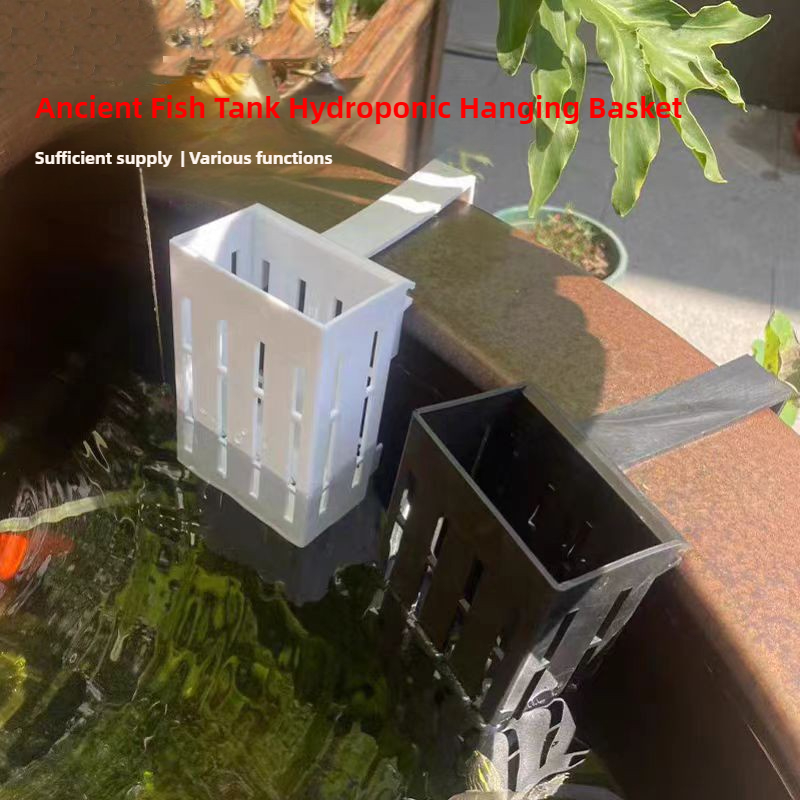 1/3Pcs Aquarium Plantตะกร้าติด - Aquarium Plant Live บทวิจารณ์และราคา