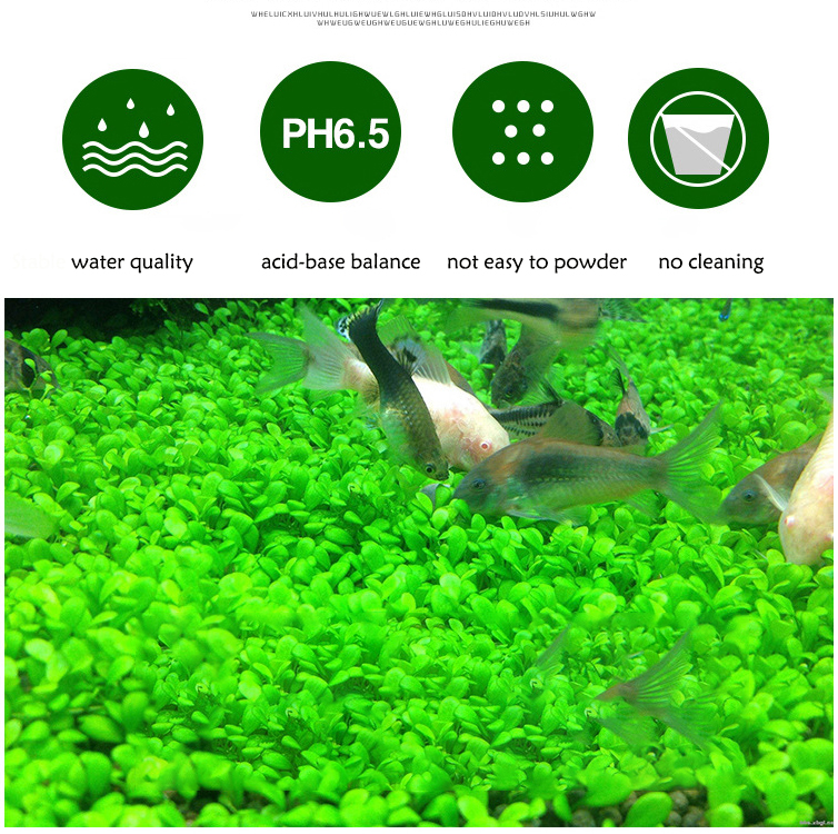 พิพิธภัณฑ์สัตว์น้ำเมล็ดพืชดิน  - Planted Aquarium Equipment บทวิจารณ์และราคา