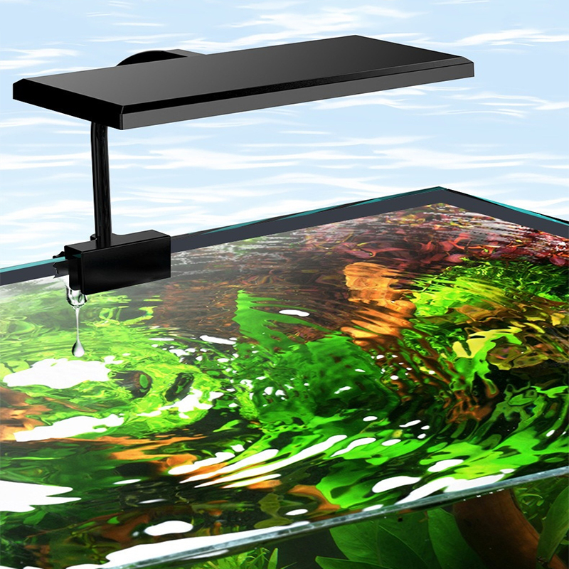 พิพิธภัณฑ์สัตว์น้ํา USB ไฟ LED - Aquarium Plant Diseases บทวิจารณ์และราคา