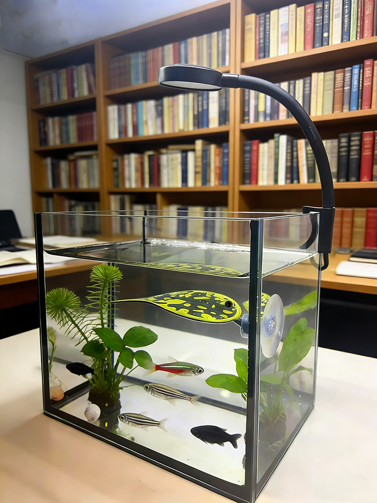 ไฟ LED แบบหนีบสำหรับตู้ปลา USB - Aquarium Plant Diseases บทวิจารณ์และราคา