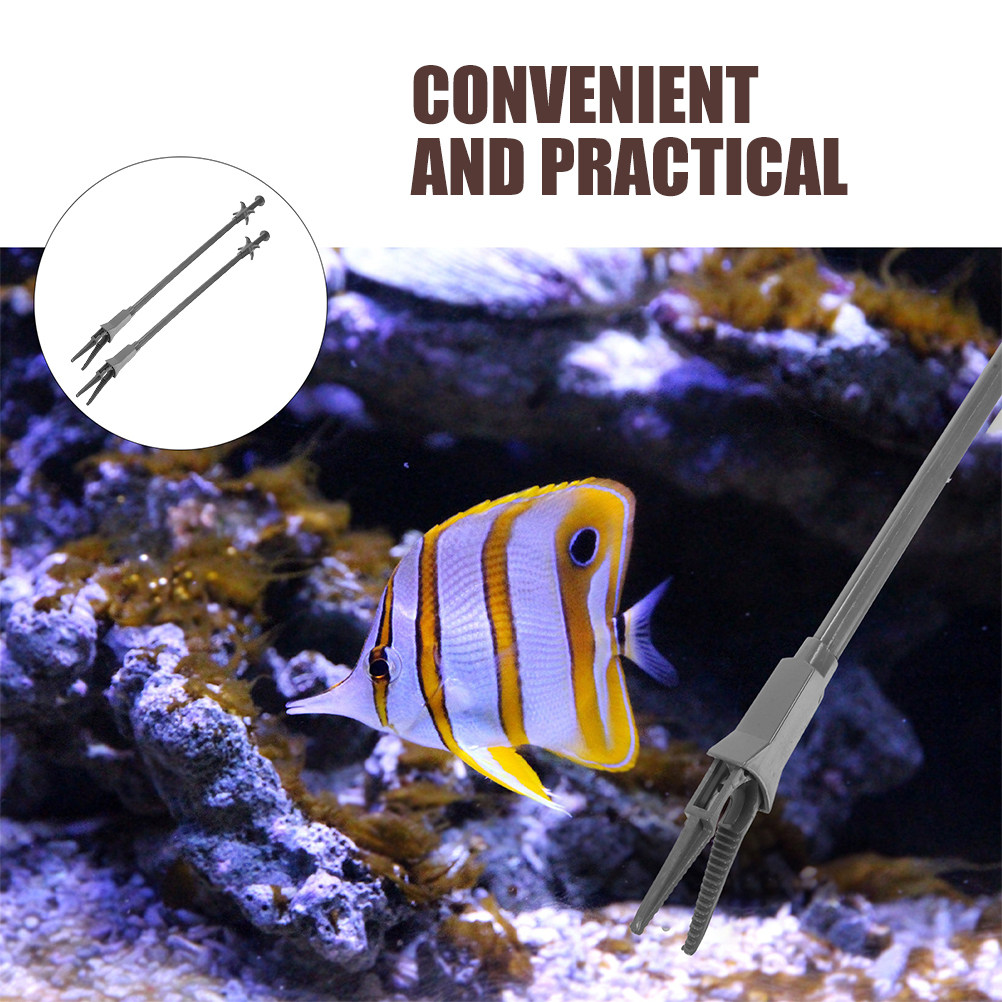 แหนบพลาสติกสำหรับตู้ปลา 2 ชิ้น - Planted Aquarium Tips บทวิจารณ์และราคา
