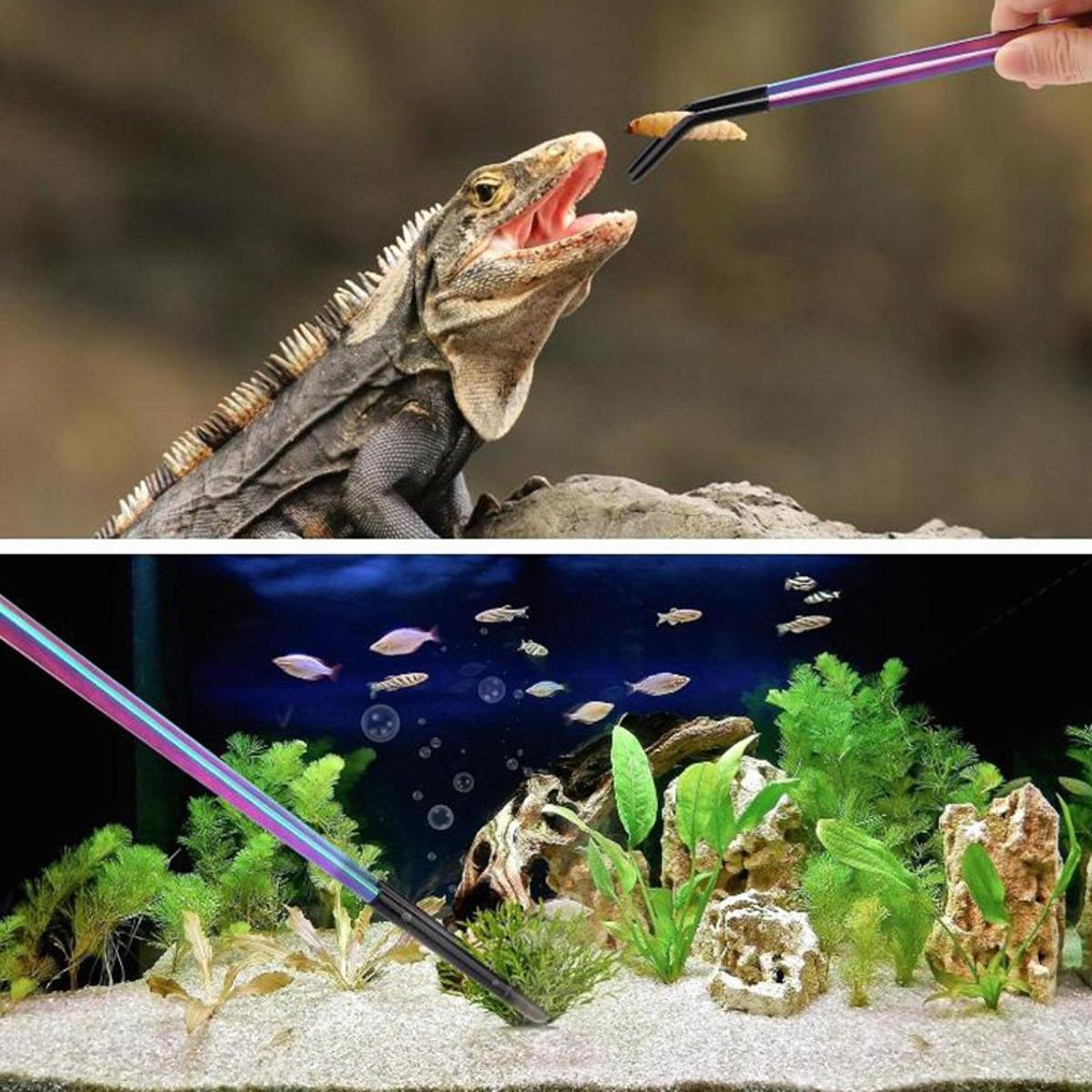 ที่คีบอาหารสัตว์เลื้อยคลานพร้อ - Planted Aquarium Tips บทวิจารณ์และราคา