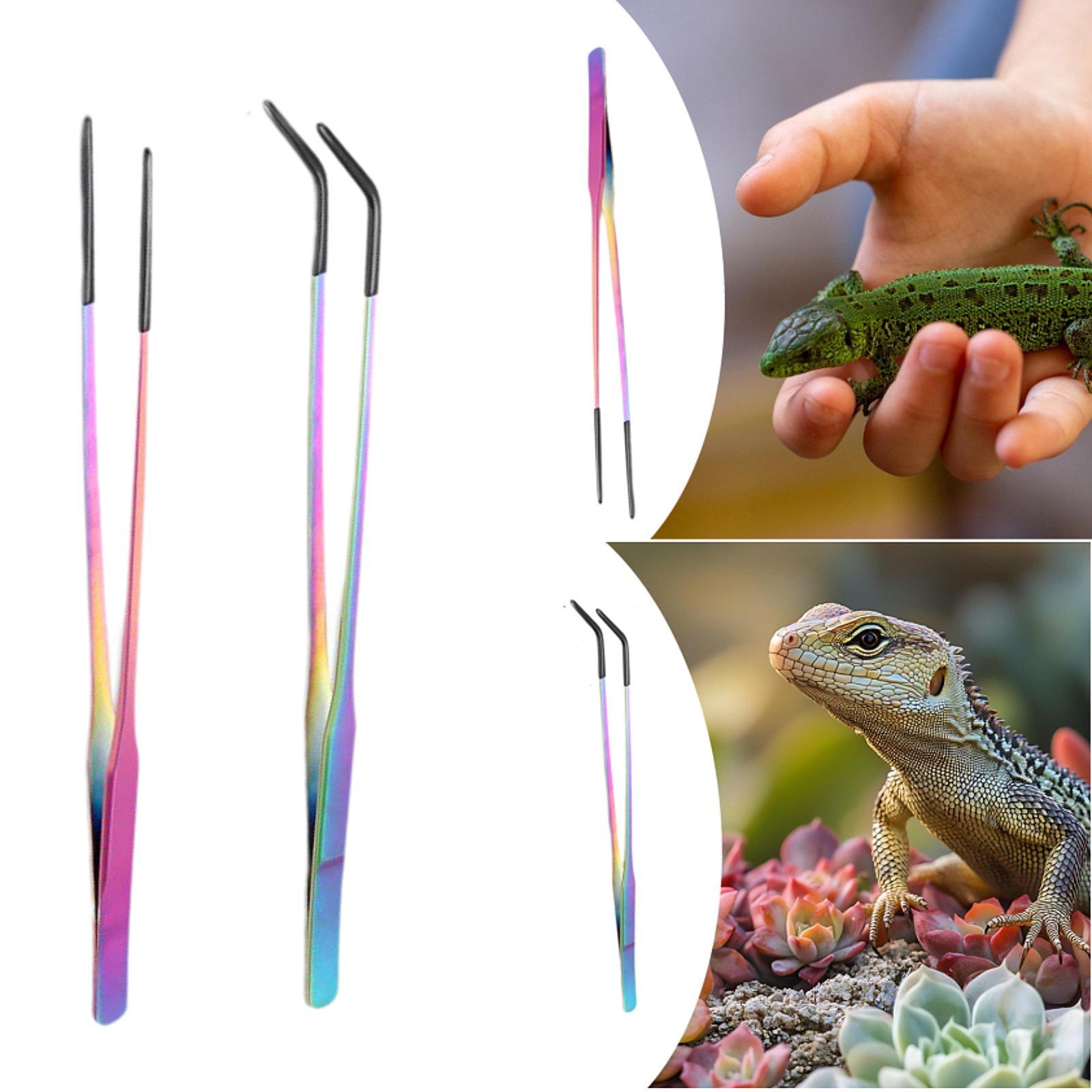 ที่คีบอาหารสัตว์เลื้อยคลานพร้อ - Planted Aquarium Tips บทวิจารณ์และราคา