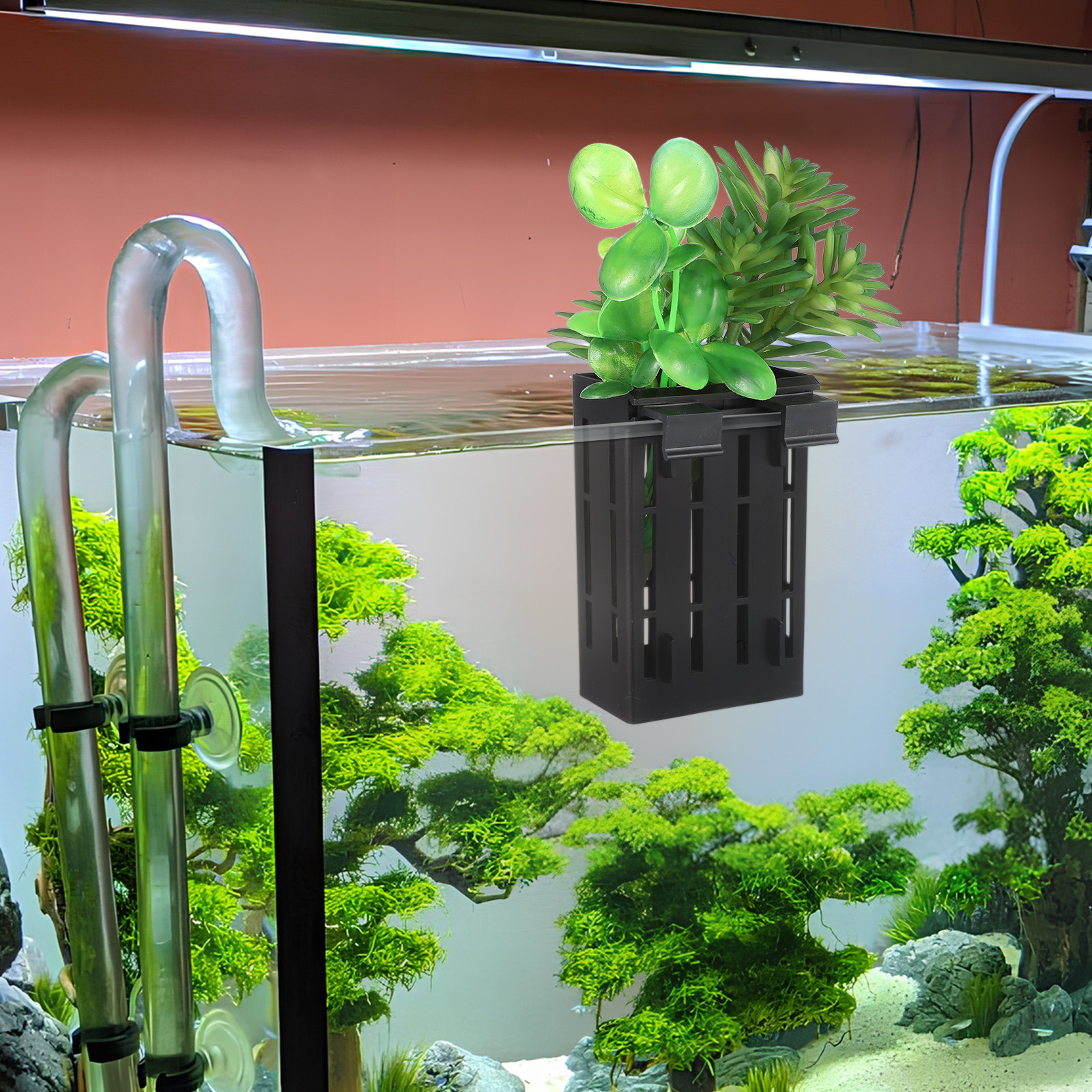 ตะกร้าปลูกพืชน้ำแบบแขวนติดผนัง - Aquarium Plants บทวิจารณ์และราคา