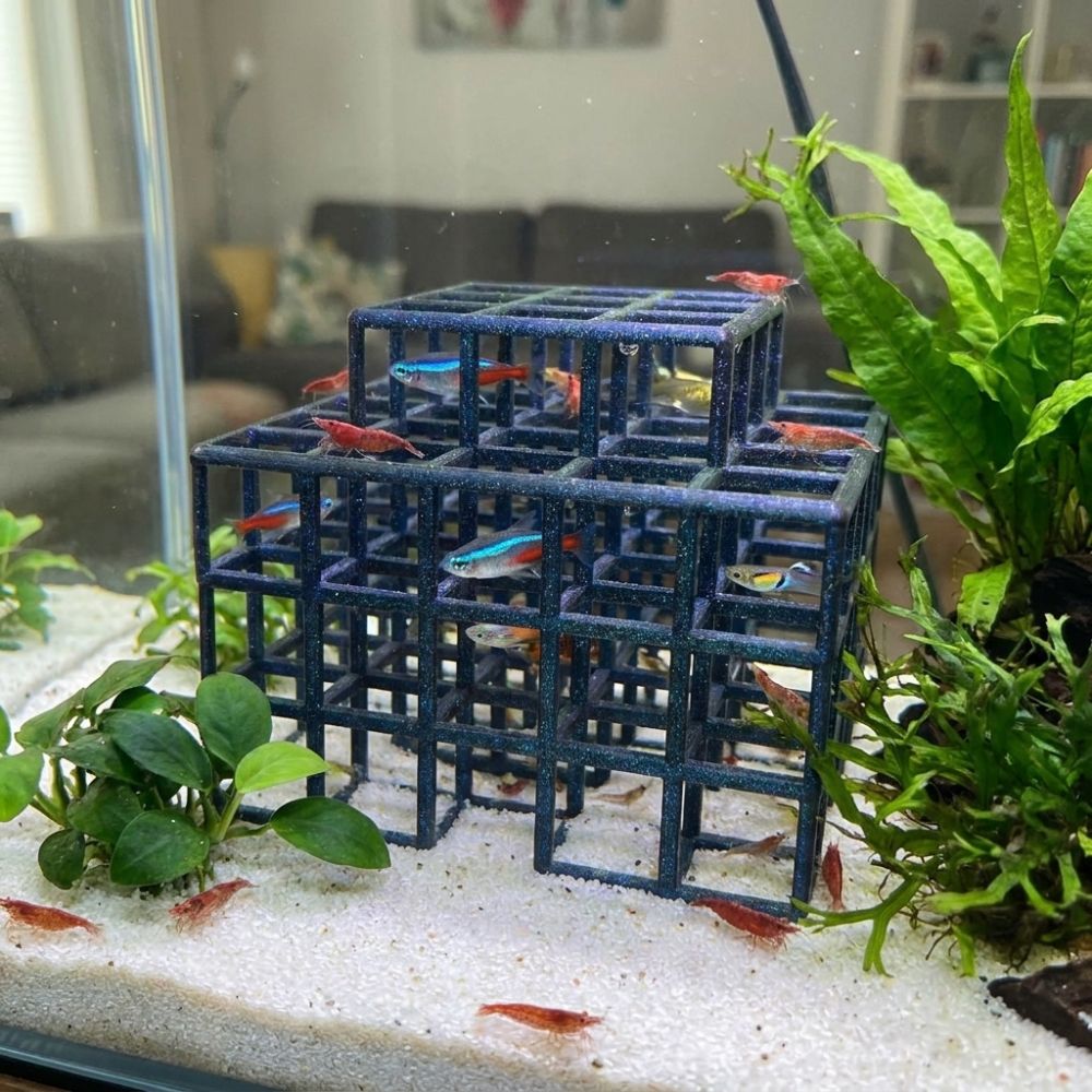 ที่หลบซ่อนสำหรับปลาและกุ้งแบบพ - Aquarium Plant Live บทวิจารณ์และราคา