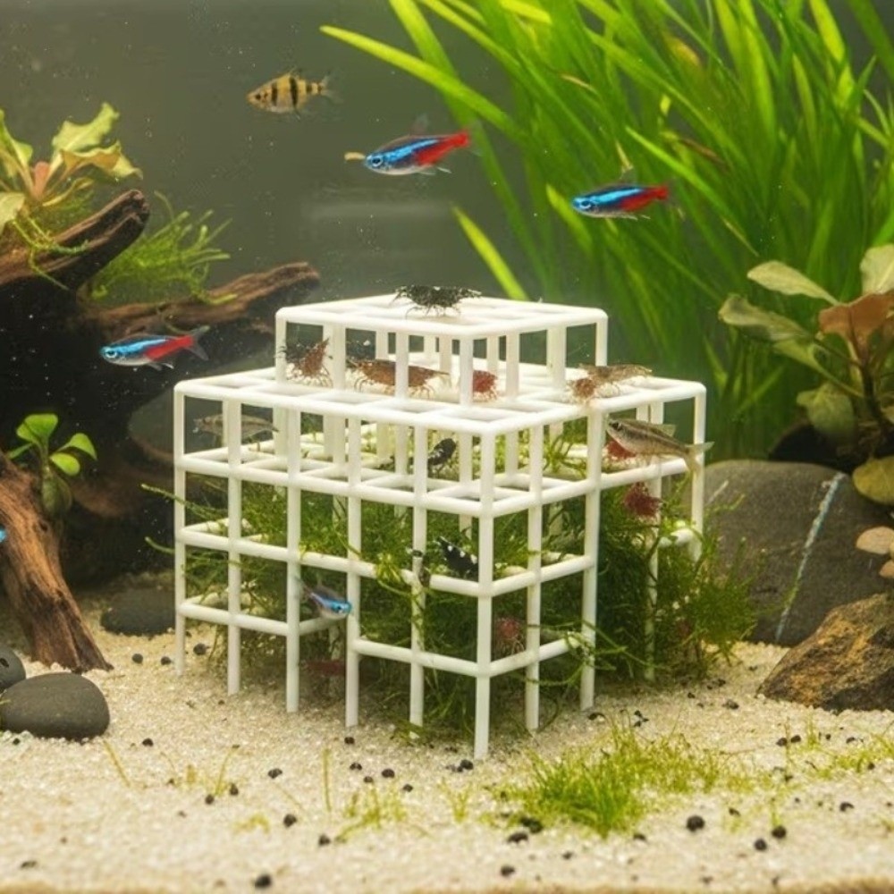 ที่หลบซ่อนสำหรับปลาและกุ้งแบบพ - Aquarium Plant Live บทวิจารณ์และราคา