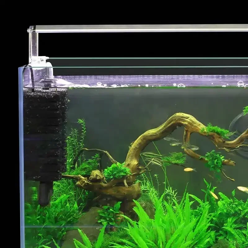3-IN-1 คลิปบนไฟฟ้าฟองน้ํากรอง  - Planted Aquarium Media บทวิจารณ์และราคา