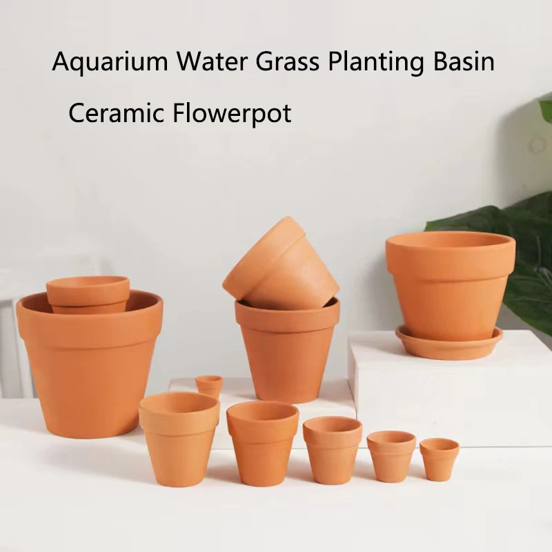 โคลนสีแดงตกแต่งตู้ปลาสําหรับหญ - Aquarium Plant Red บทวิจารณ์และราคา