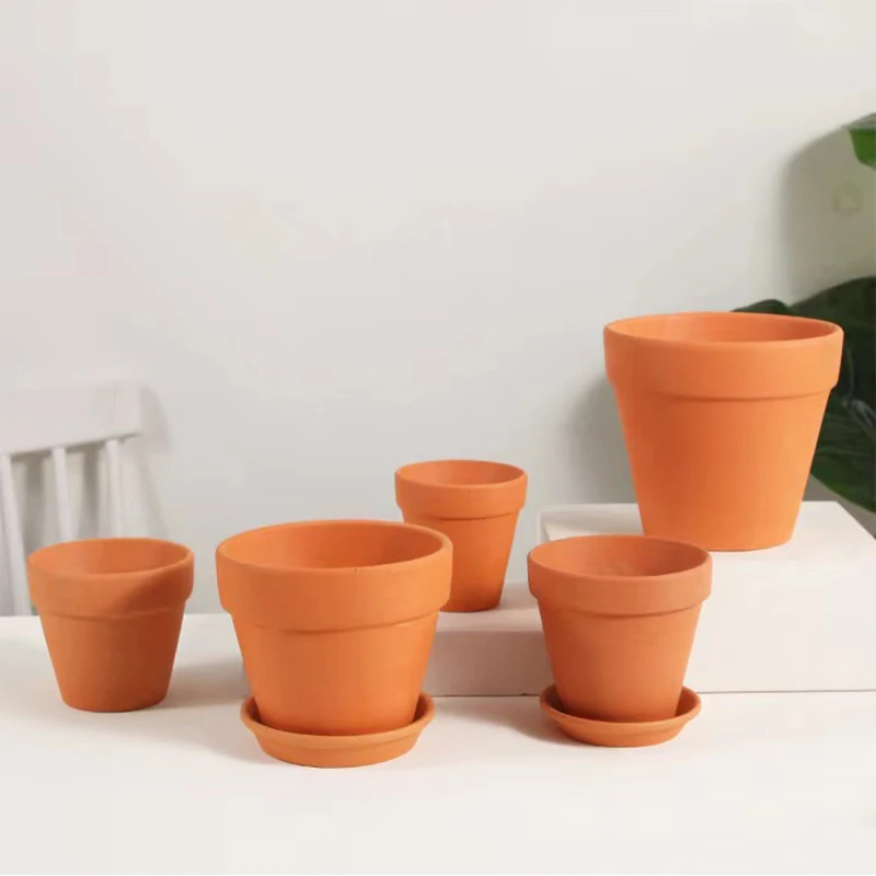 โคลนสีแดงตกแต่งตู้ปลาสําหรับหญ - Aquarium Plant Red บทวิจารณ์และราคา