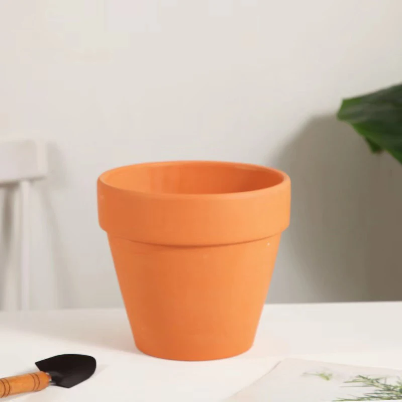 โคลนสีแดงตกแต่งตู้ปลาสําหรับหญ - Aquarium Plant Red บทวิจารณ์และราคา