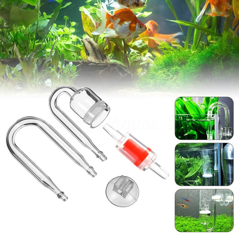 DIY ชุดกระจาย CO2 4ชิ้นสำหรับต - Planted Aquarium Media บทวิจารณ์และราคา