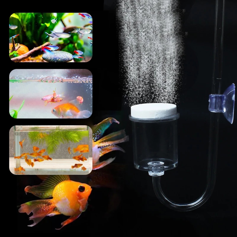 DIY ชุดกระจาย CO2 4ชิ้นสำหรับต - Planted Aquarium Media บทวิจารณ์และราคา