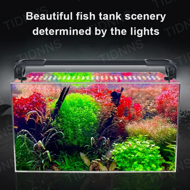 พิพิธภัณฑ์สัตว์น้ําไฟ LED พืชเ - Aquarium Plant Diseases บทวิจารณ์และราคา