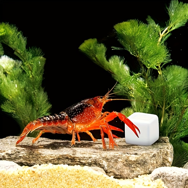 บล็อกแคลเซียมสำหรับตู้ปลา 6 ชิ - Aquarium Plant Live บทวิจารณ์และราคา
