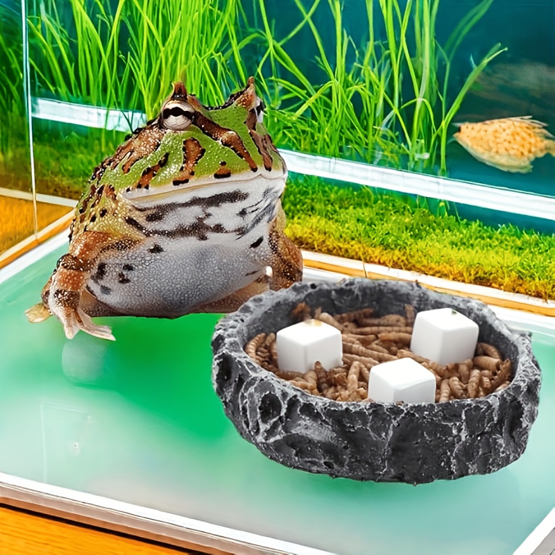 บล็อกแคลเซียมสำหรับตู้ปลา 6 ชิ - Aquarium Plant Live บทวิจารณ์และราคา